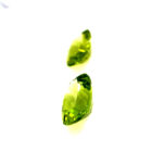 Olivíny pár 4,41ct - Image 4
